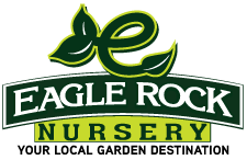 Eagle Rock Nursery