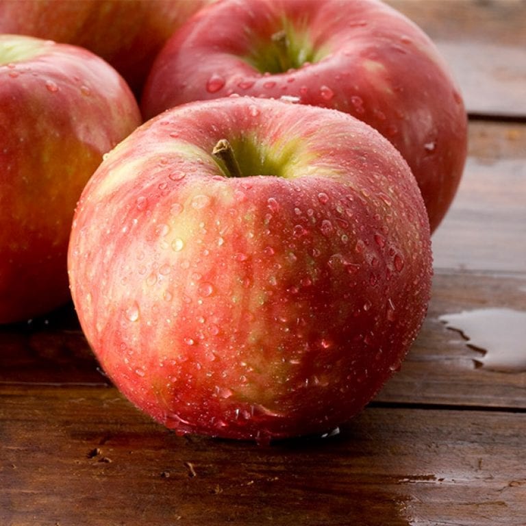 Apple Honeycrisp Eagle Rock Nursery